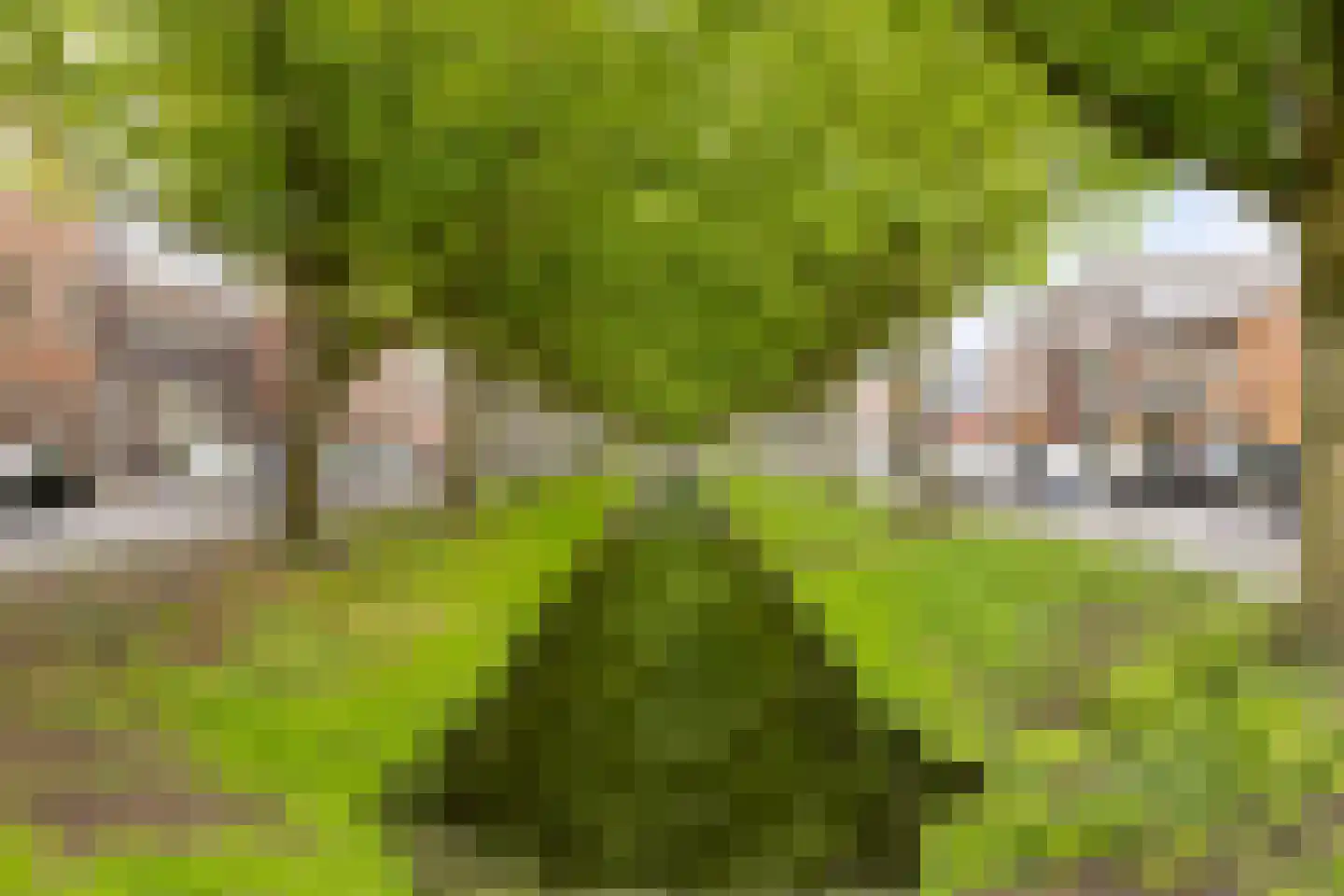 Spuistraat 24 Bunschoten-Spakenburg thumbnail 24