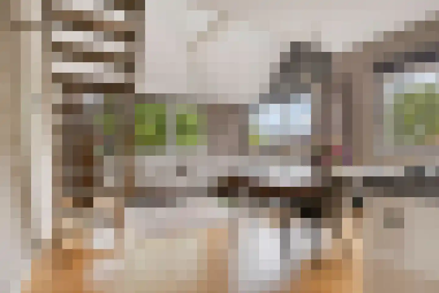 Spuistraat 24 Bunschoten-Spakenburg thumbnail 4