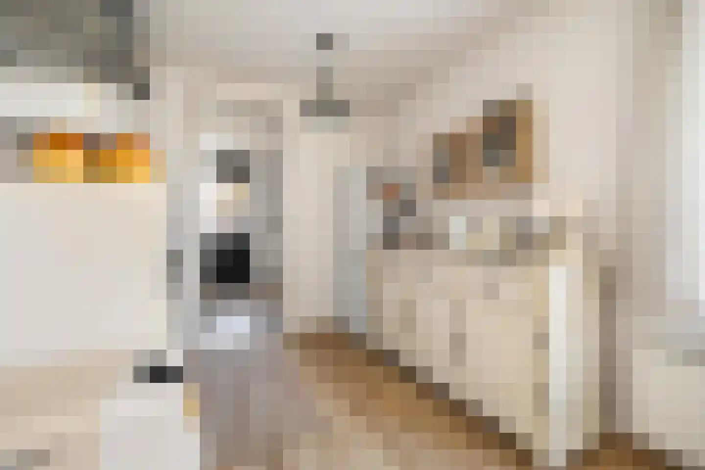 Spuistraat 26 Breda thumbnail 21