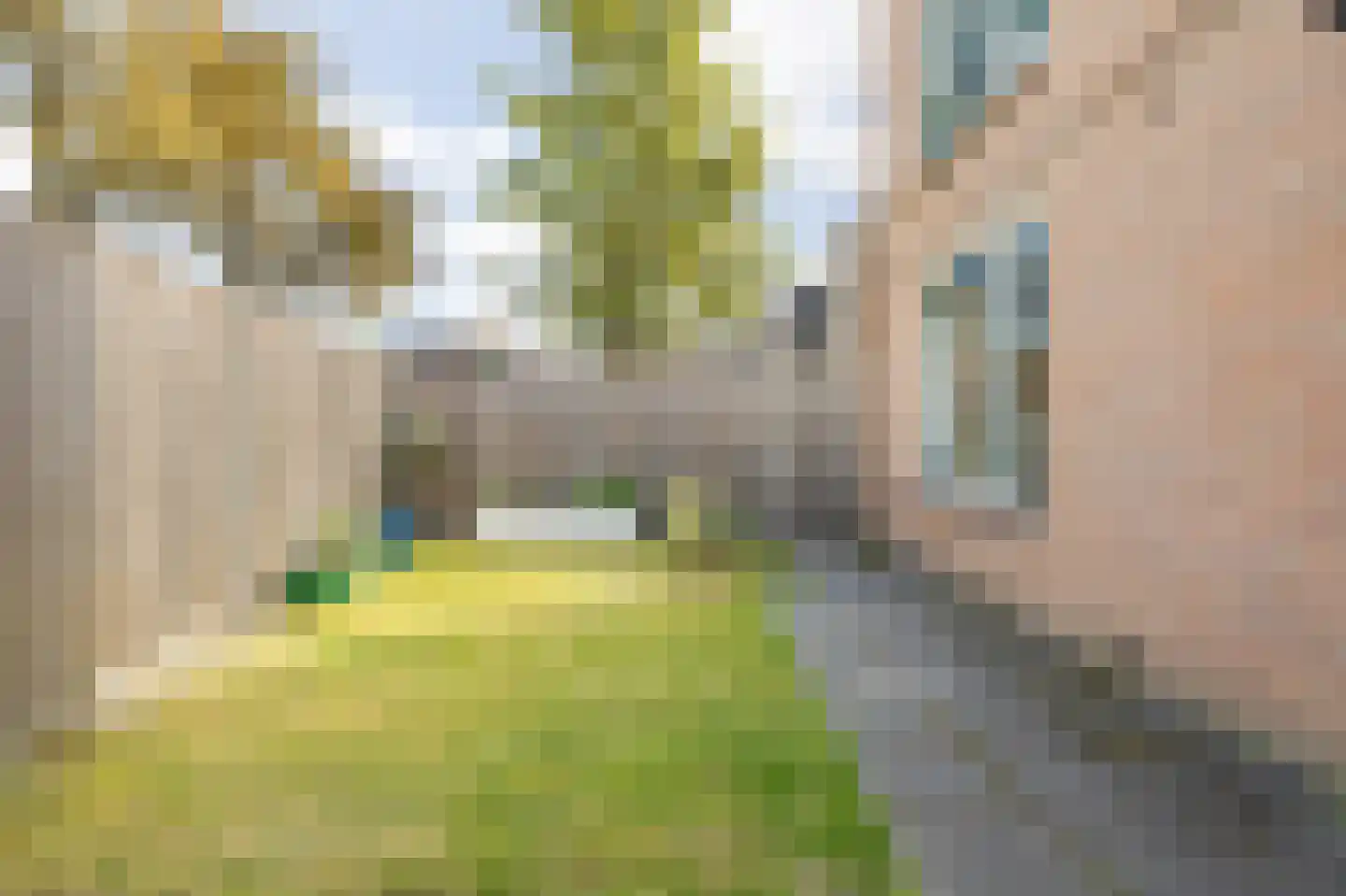 Spuistraat 26 Breda thumbnail 34