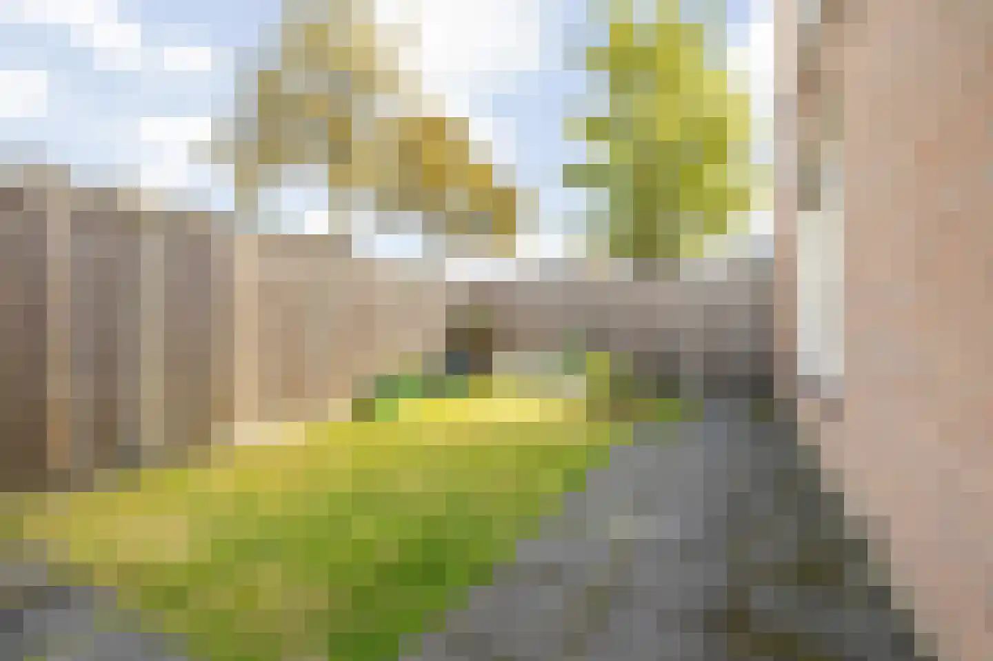 Spuistraat 26 Breda thumbnail 37