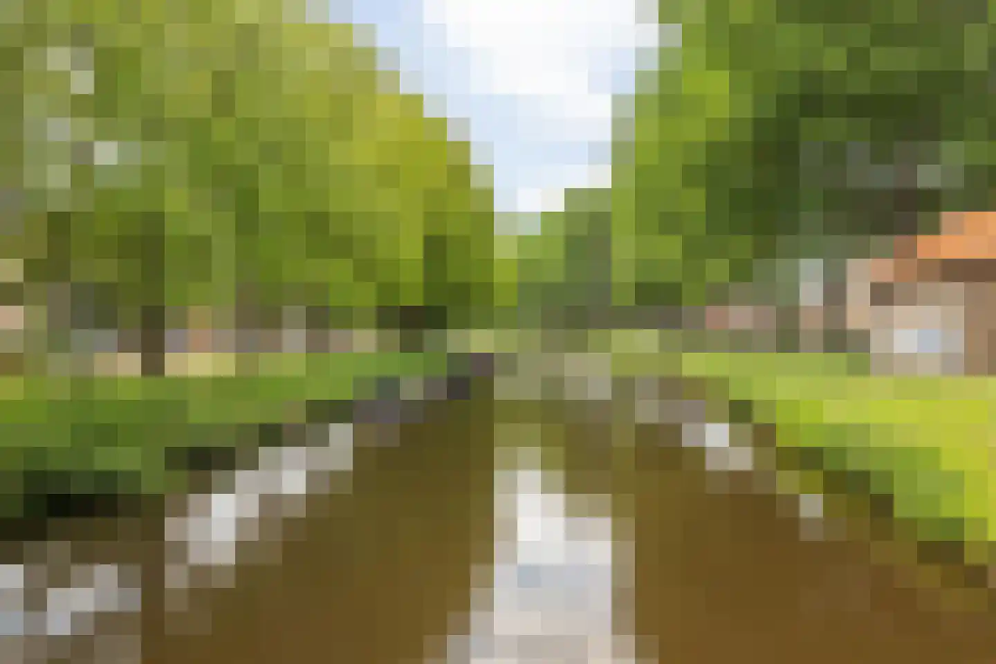Spuistraat 26 Breda thumbnail 44