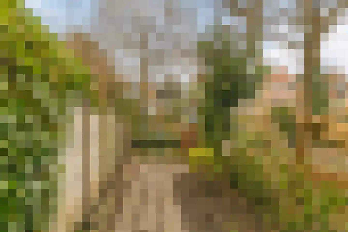 Spuistraat 29 Edam thumbnail 32