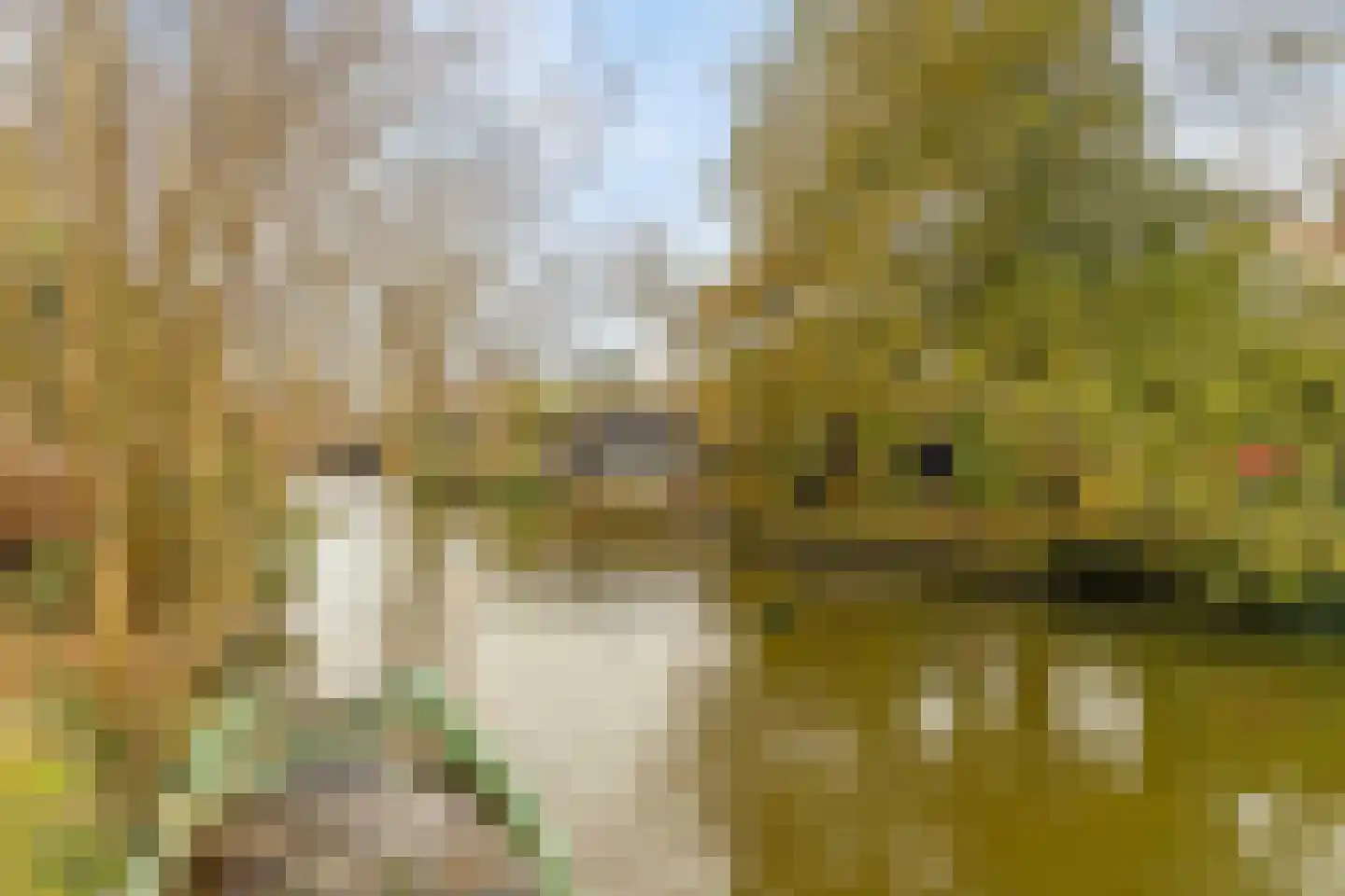 Spuistraat 29 Edam thumbnail 33