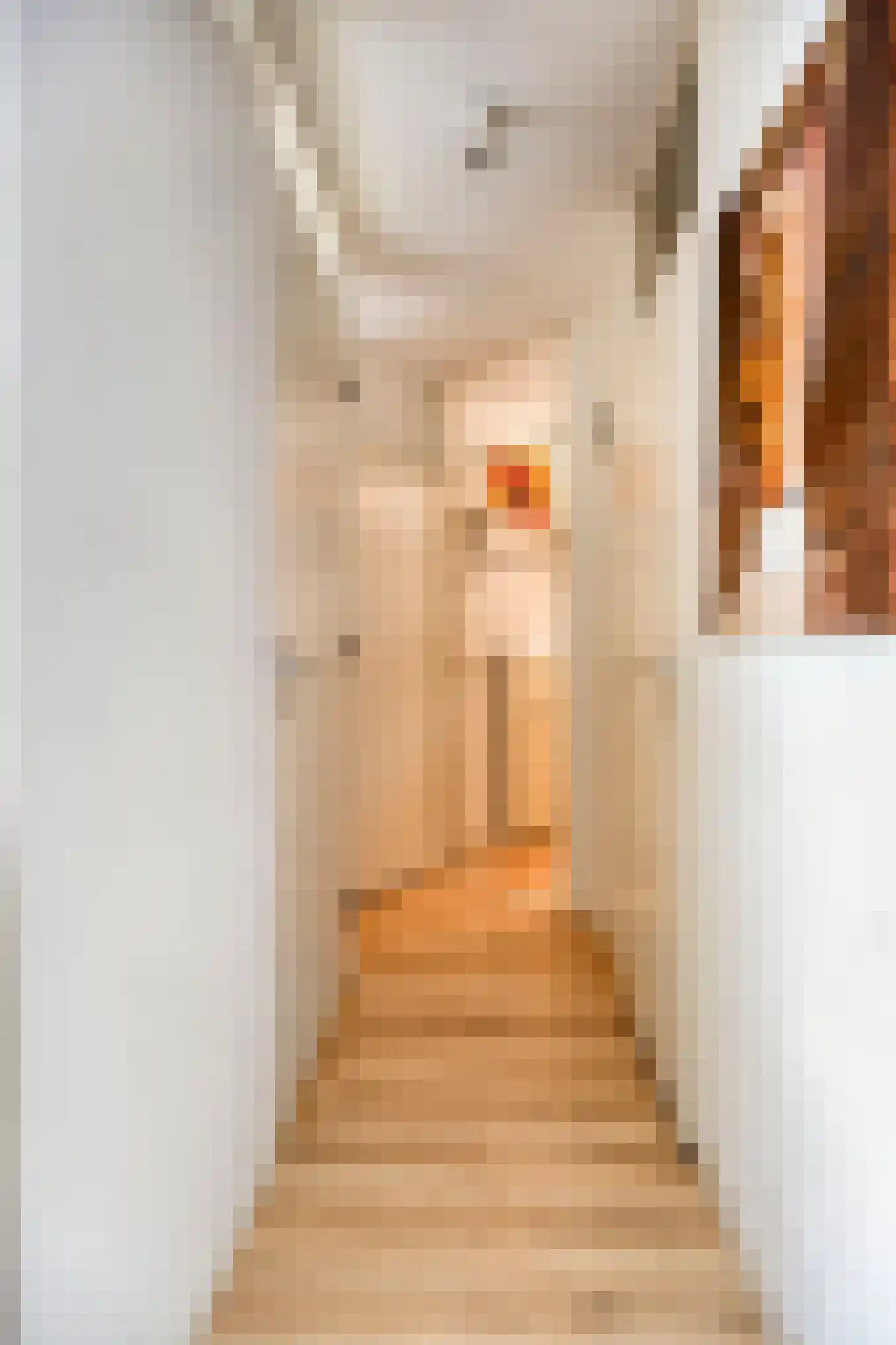 Spuistraat 3 Breda thumbnail 13
