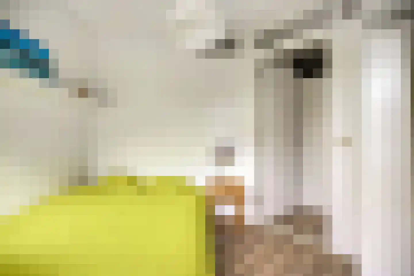Spuistraat 3 Breda thumbnail 4
