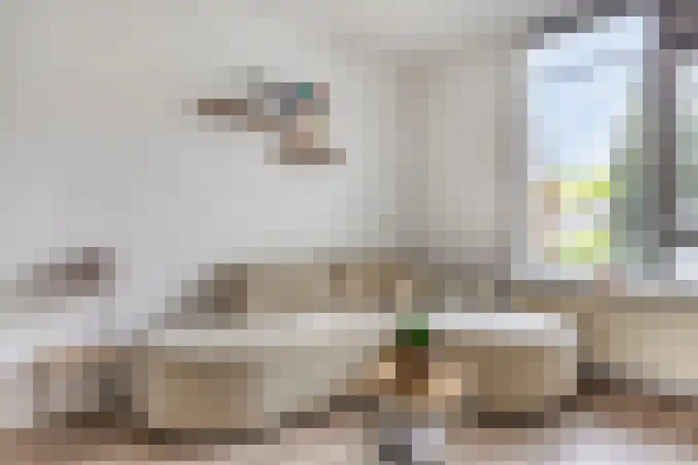 Spuistraat 3 Breda thumbnail 9