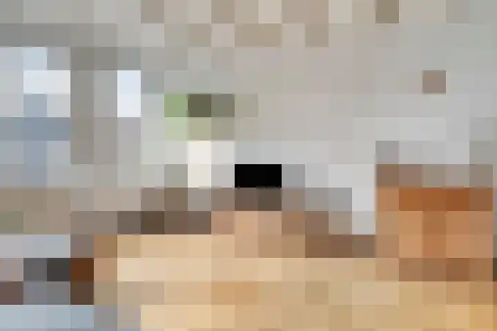 Spuistraat 3 F 6 Amsterdam thumbnail 10