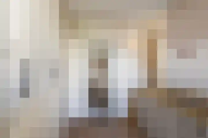 Spuistraat 3 Schiedam thumbnail 23