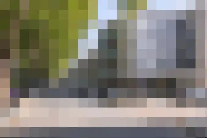 Spuistraat 3 Schiedam thumbnail 27