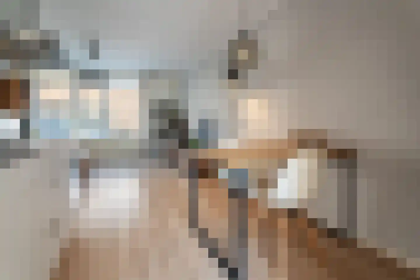 Spuistraat 33 Breda thumbnail 7
