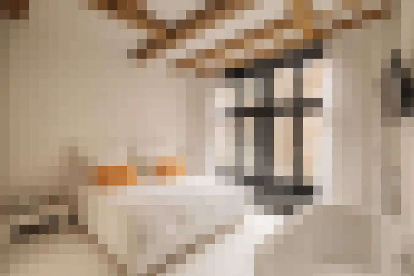 Spuistraat 34 B Amsterdam thumbnail 15