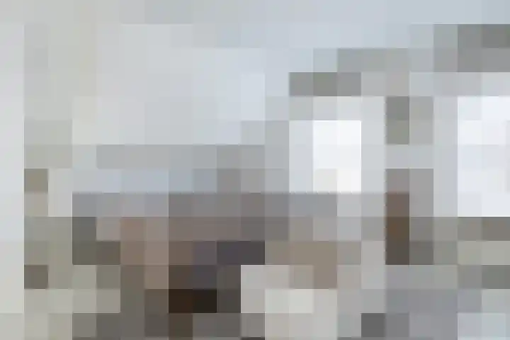 Spuistraat 34 Middelharnis thumbnail 20