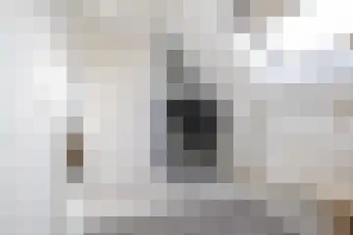 Spuistraat 34 Middelharnis thumbnail 25