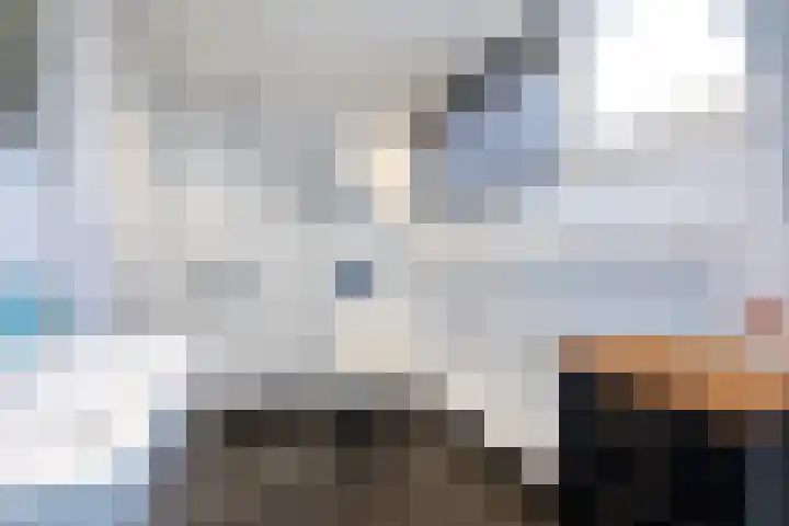 Spuistraat 34 Middelharnis thumbnail 27