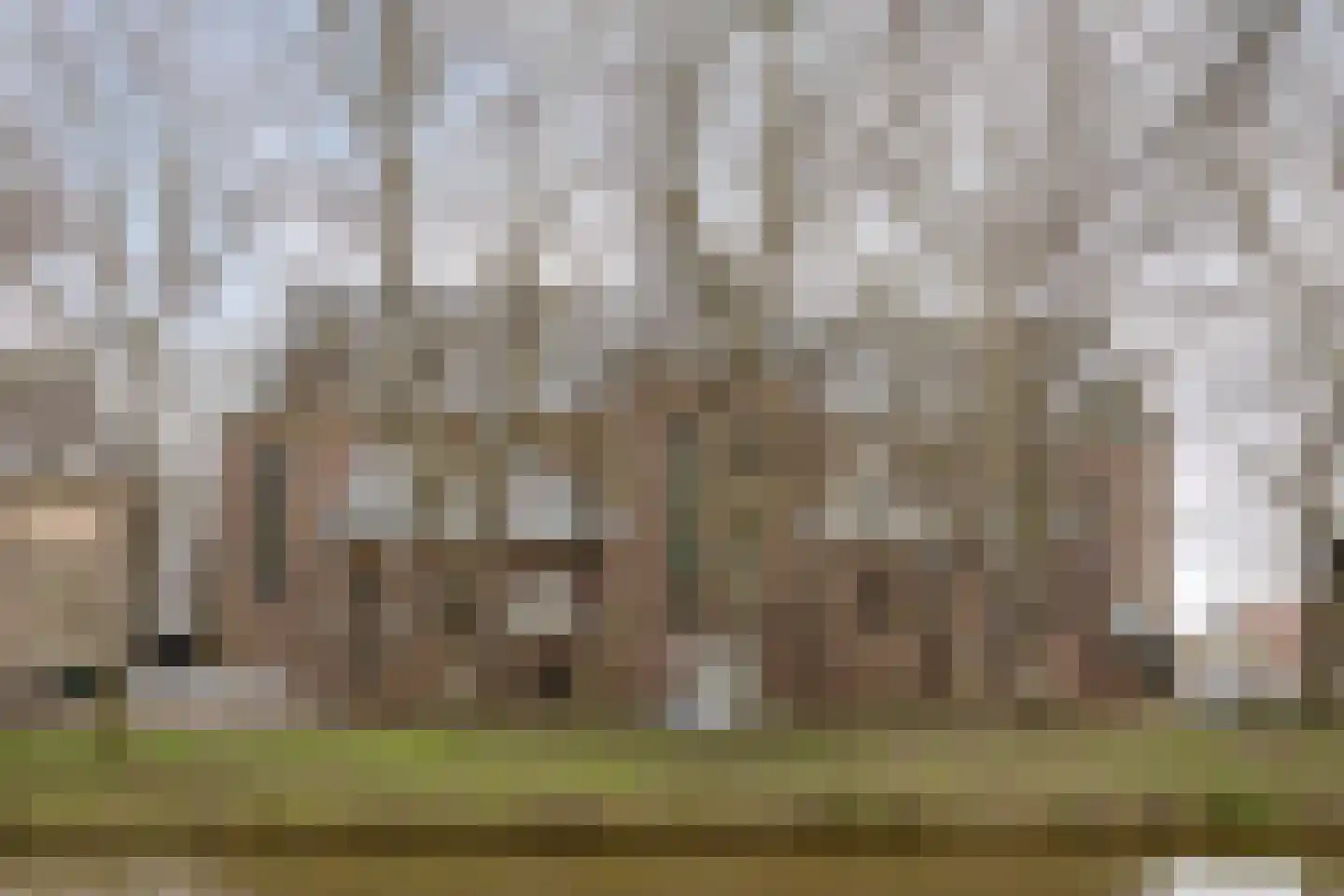 Spuistraat 37 Breda thumbnail 24