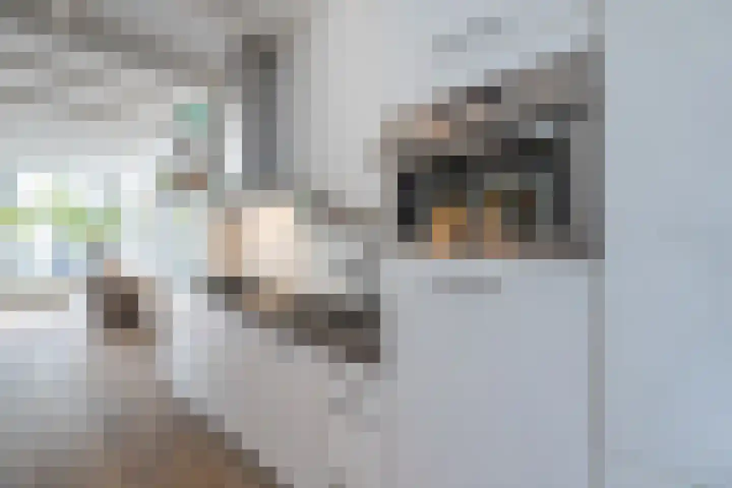 Spuistraat 40 B Amsterdam thumbnail 12
