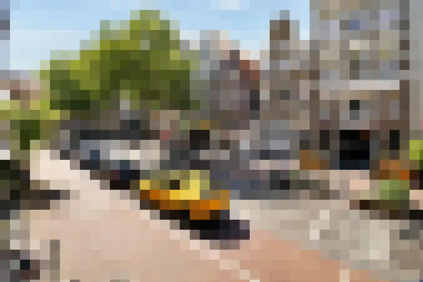 Spuistraat 41 A Amsterdam thumbnail 18