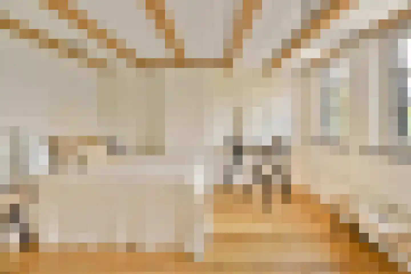Spuistraat 41 B Amsterdam thumbnail 11