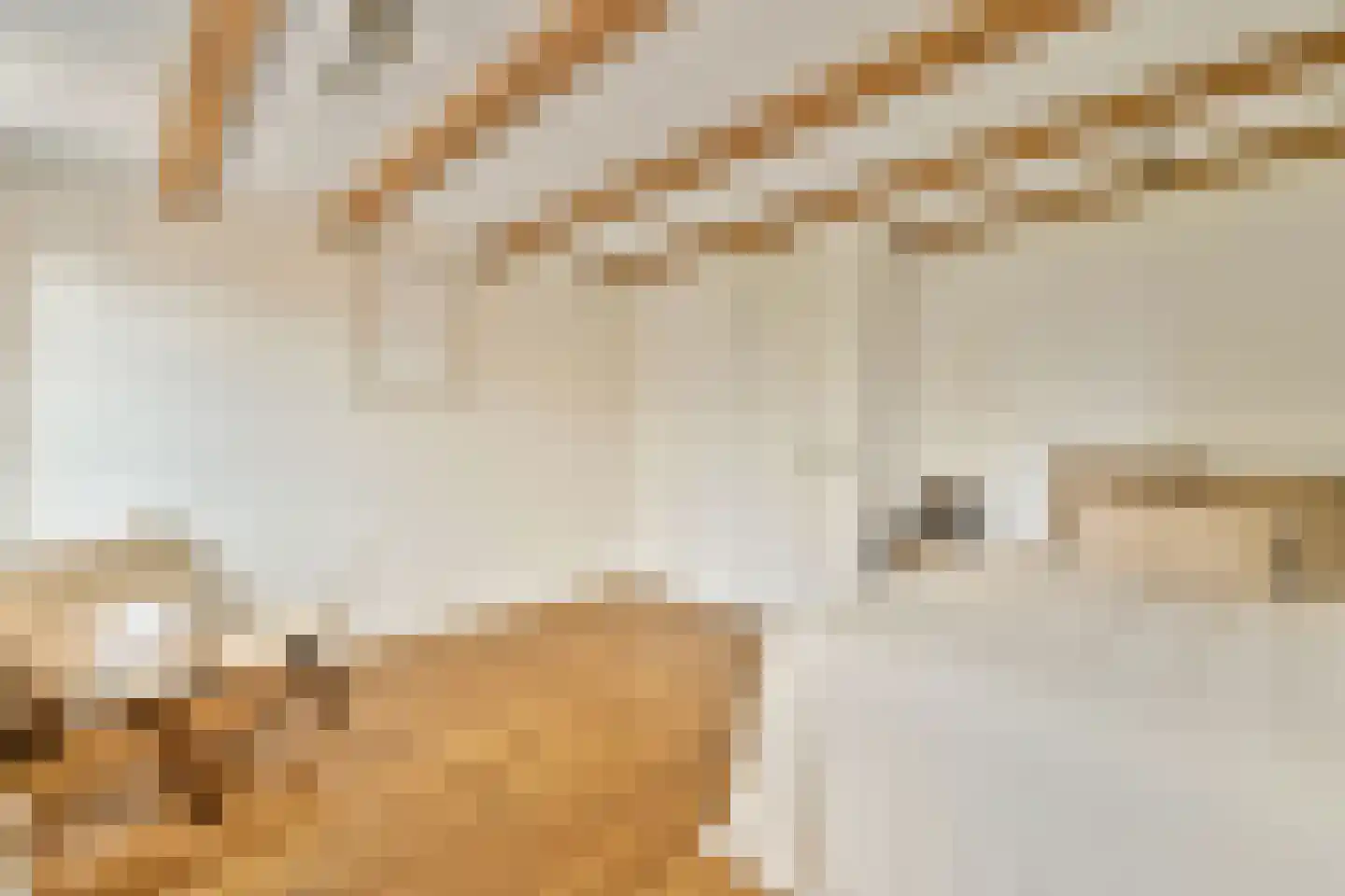 Spuistraat 41 B Amsterdam thumbnail 12