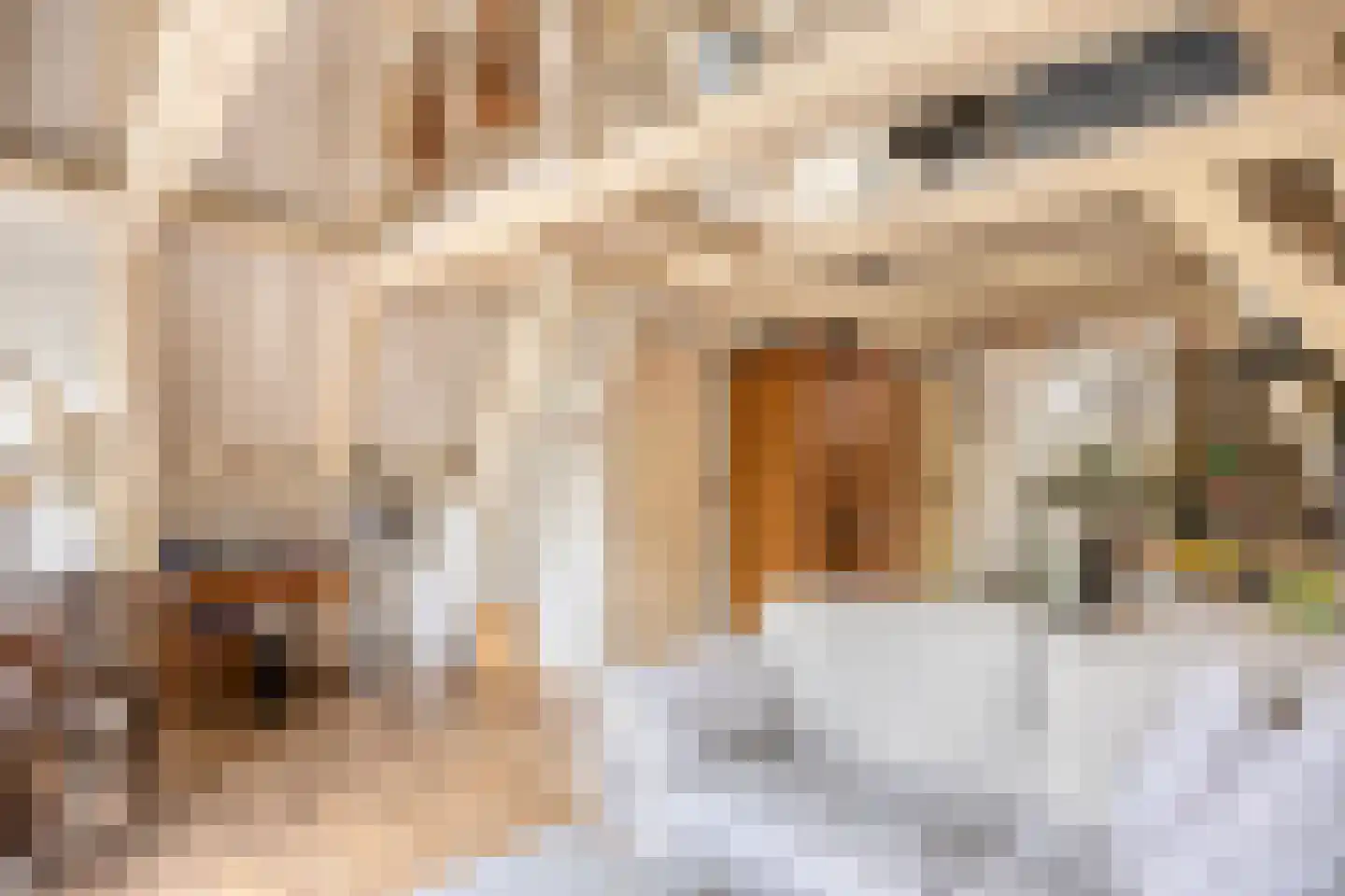 Spuistraat 47 H Amsterdam thumbnail 37