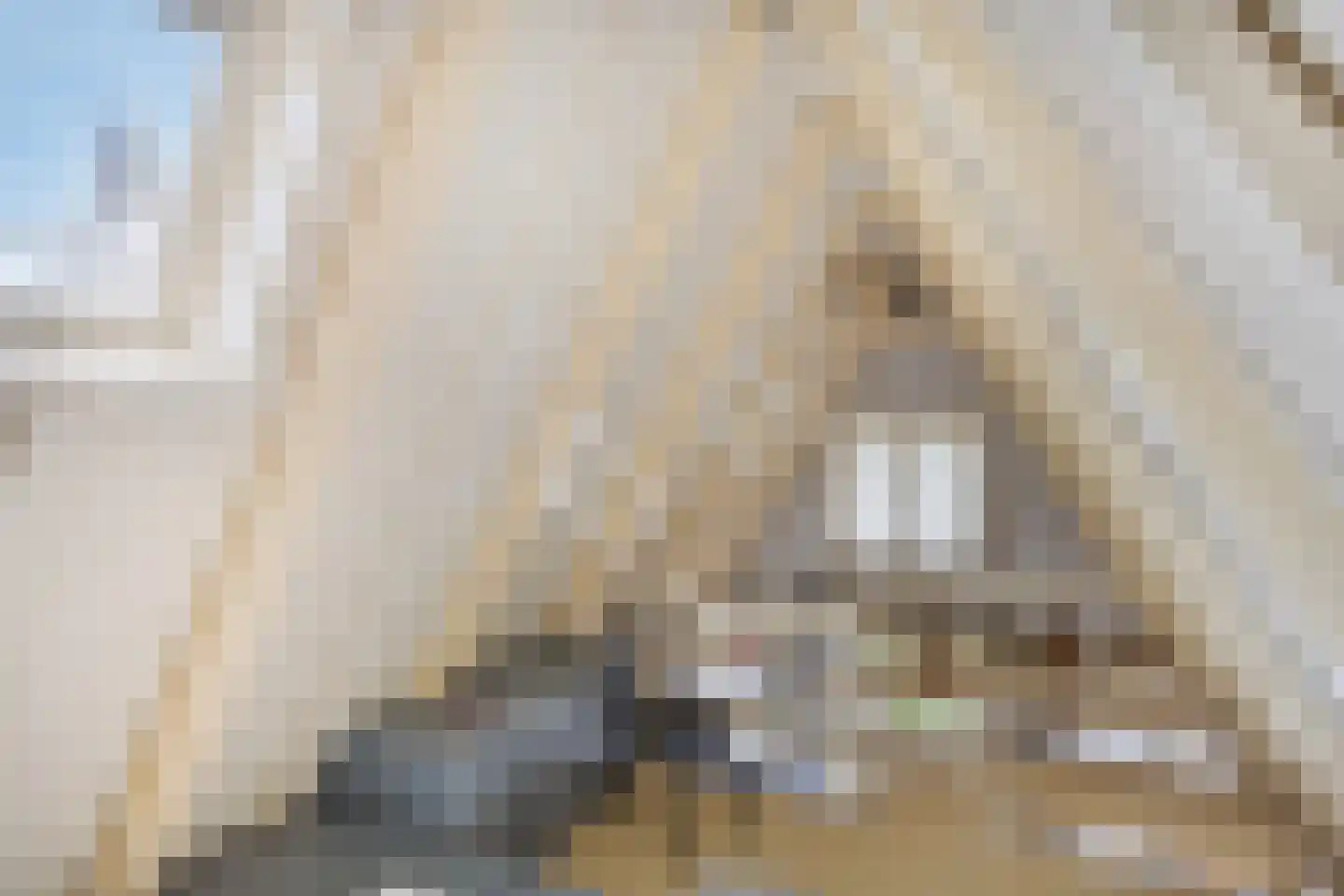 Spuistraat 47 H Amsterdam thumbnail 43