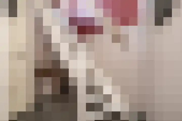 Spuistraat 50 Middelharnis thumbnail 18