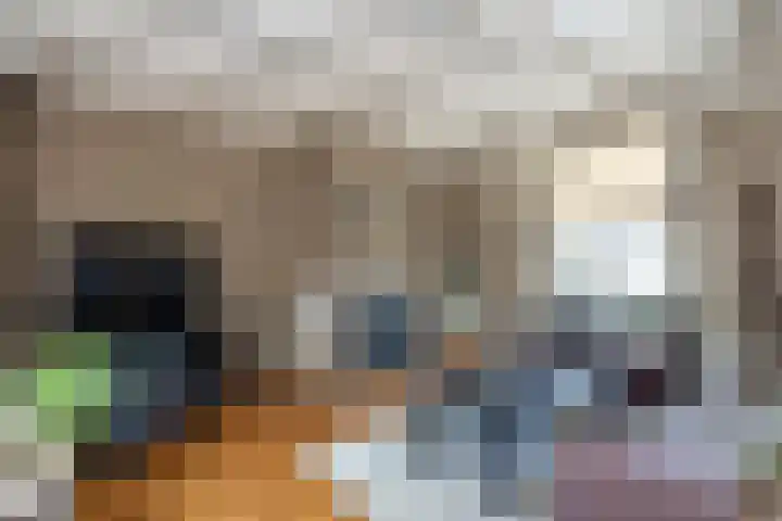 Spuistraat 50 Middelharnis thumbnail 7