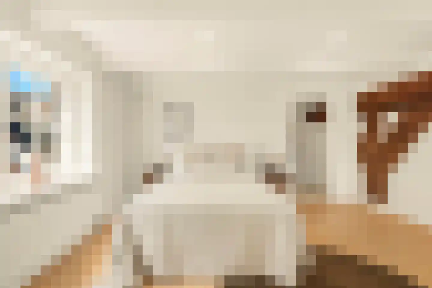 Spuistraat 6 5V Amsterdam thumbnail 20