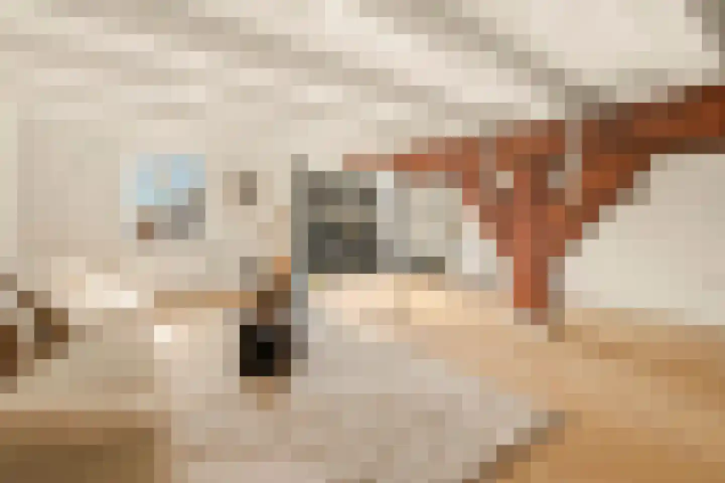 Spuistraat 6 5V Amsterdam thumbnail 4