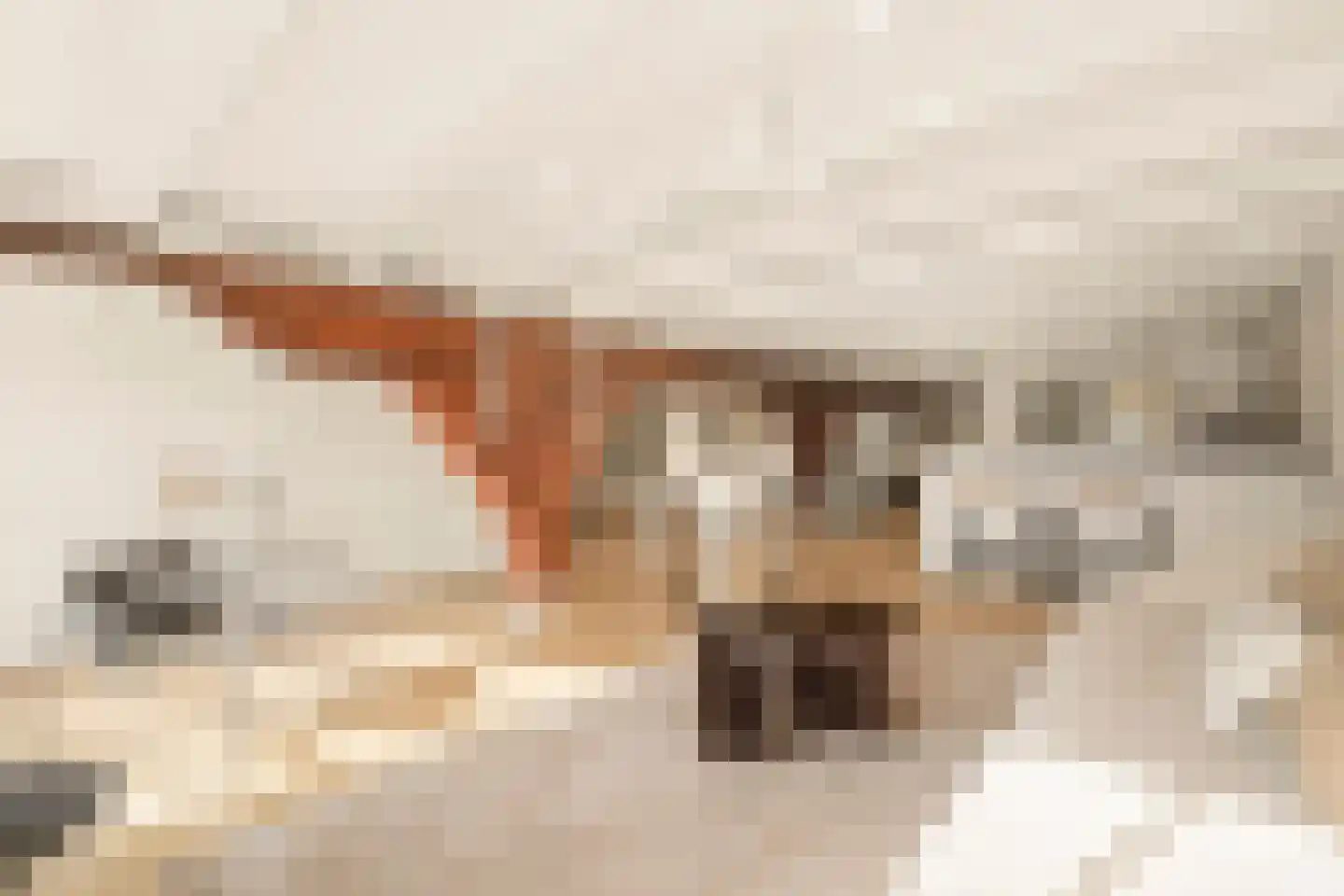 Spuistraat 6 5V Amsterdam thumbnail 5
