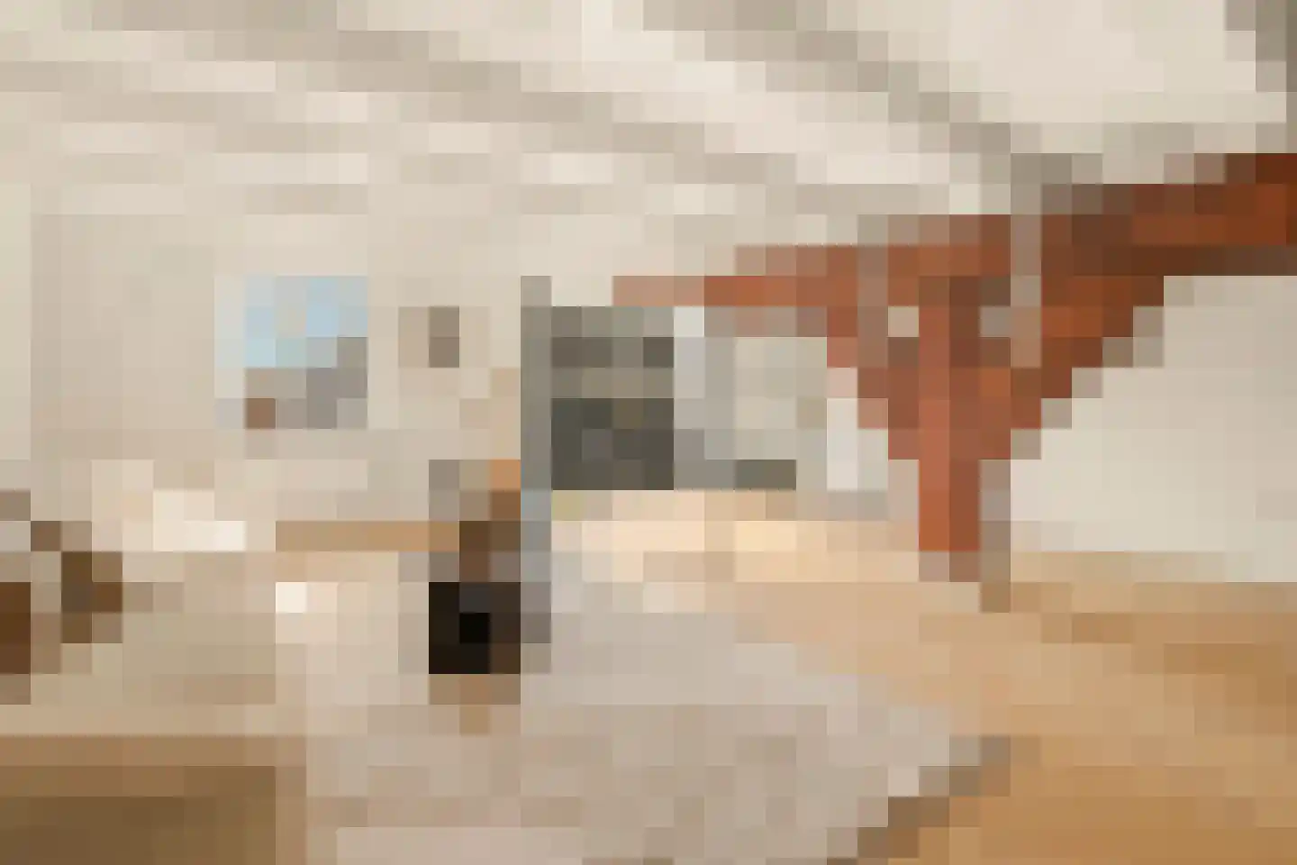 Spuistraat 6 5V Amsterdam thumbnail 5