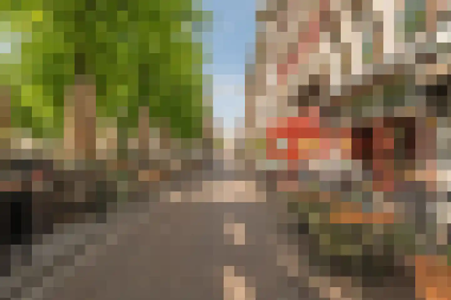 Spuistraat 66 B Den Haag thumbnail 16