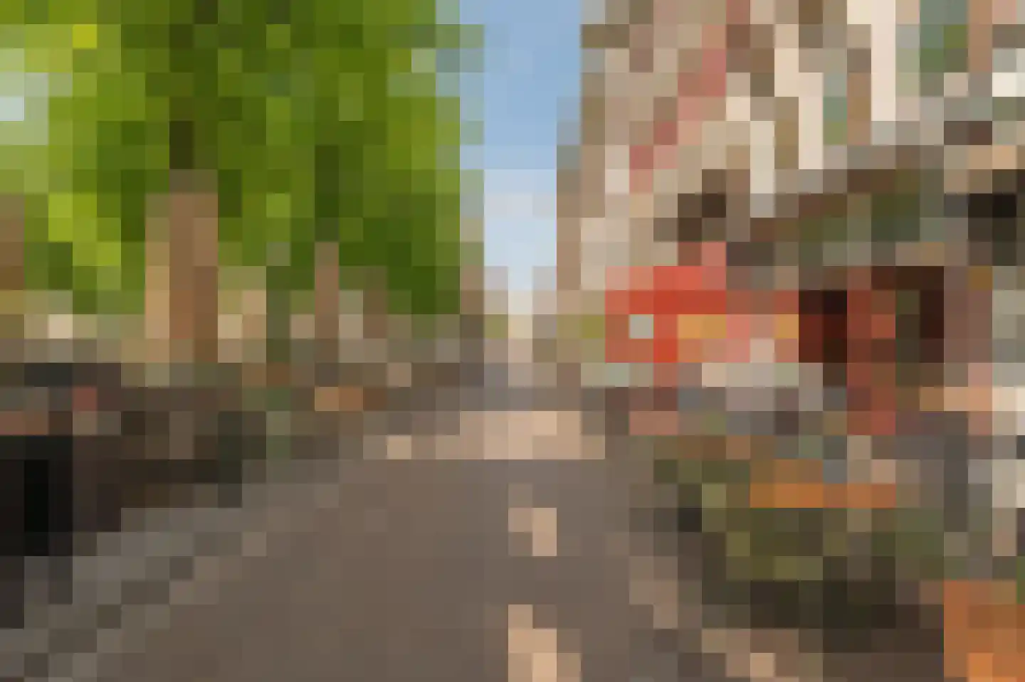 Spuistraat 66 D Den Haag thumbnail 20