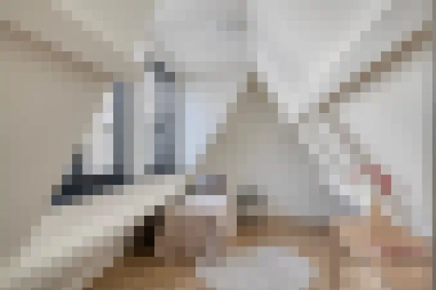 Spuistraat 66 D Den Haag thumbnail 9