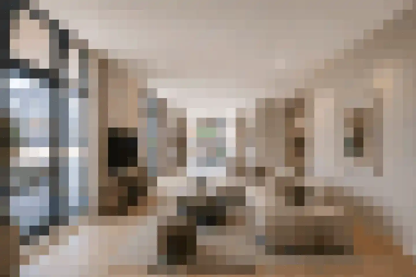 Spuistraat 69 Vlissingen thumbnail 4