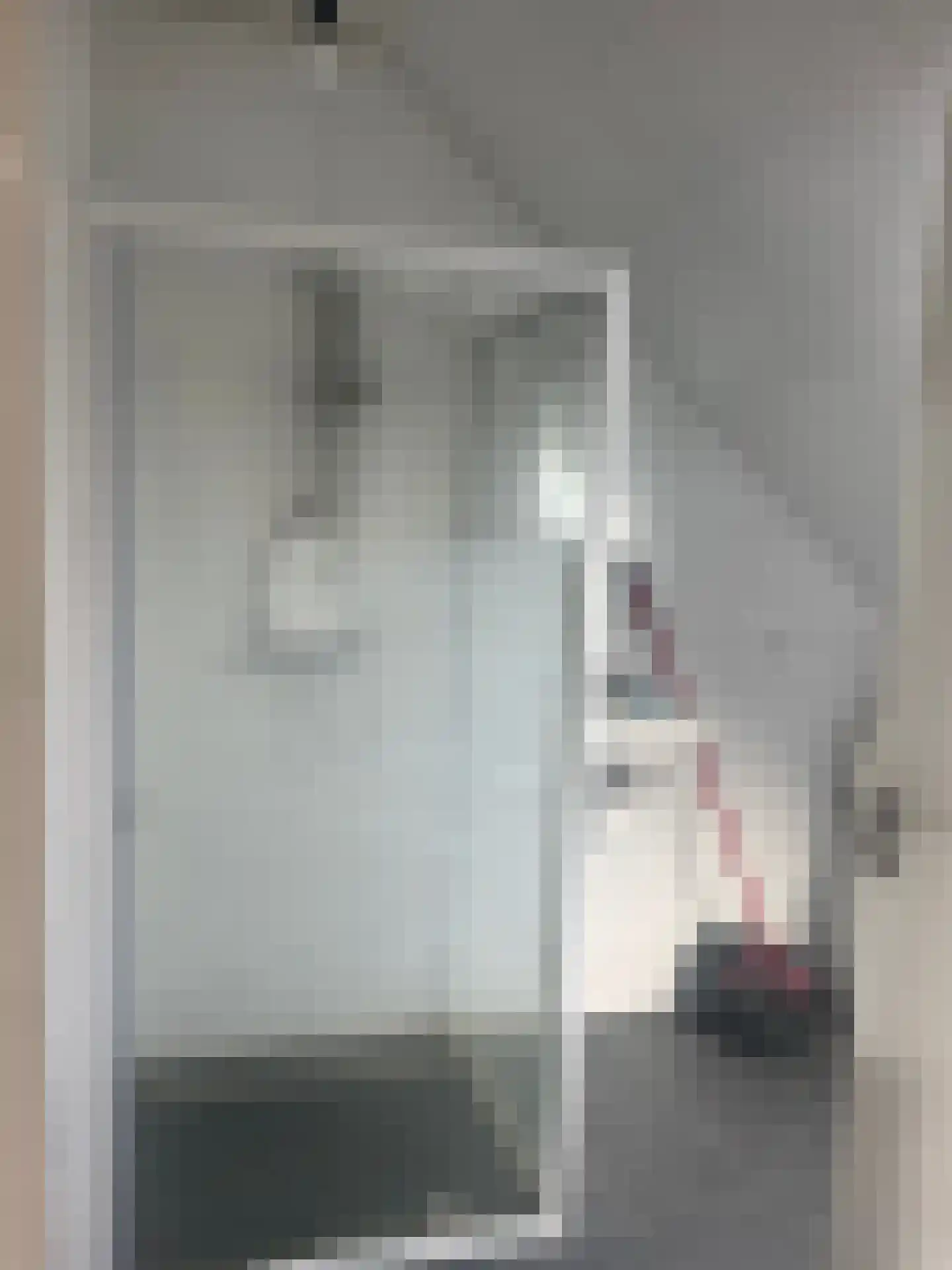 Spuistraat 9 b Bunschoten-Spakenburg thumbnail 9