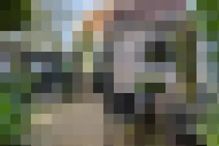 Spuistraat 9 Edam thumbnail 31