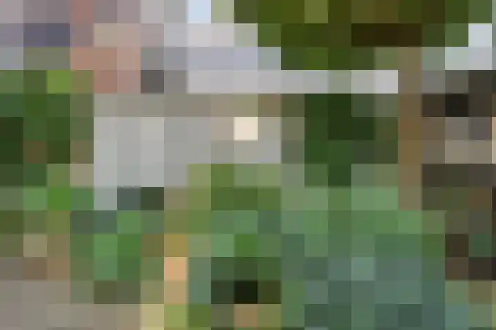 Spuistraat 9 Edam thumbnail 34
