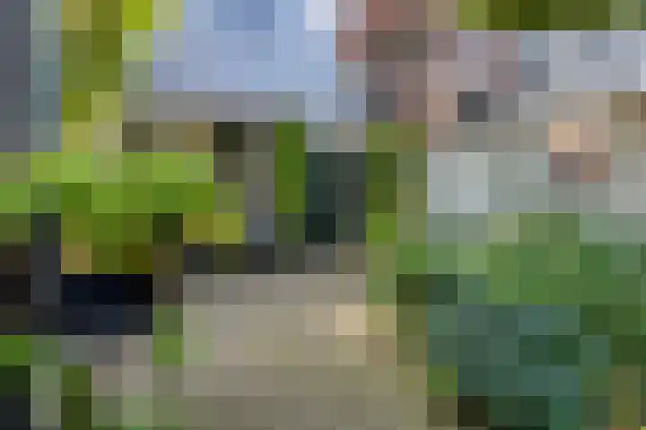 Spuistraat 9 Edam thumbnail 36