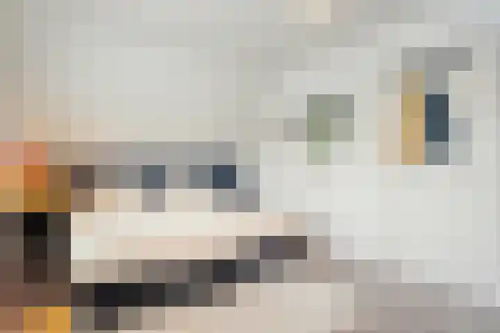 Spuitstraat 16 Rijssen thumbnail 31