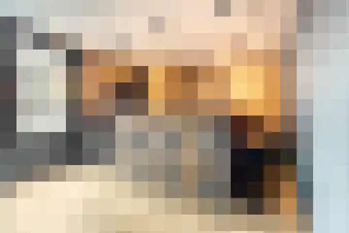 Spuitstraat 16 Rijssen thumbnail 37