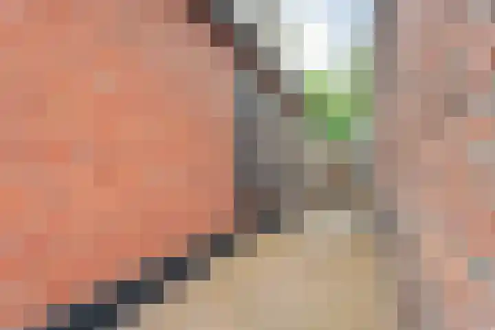 Spuitstraat 16 Rijssen thumbnail 6