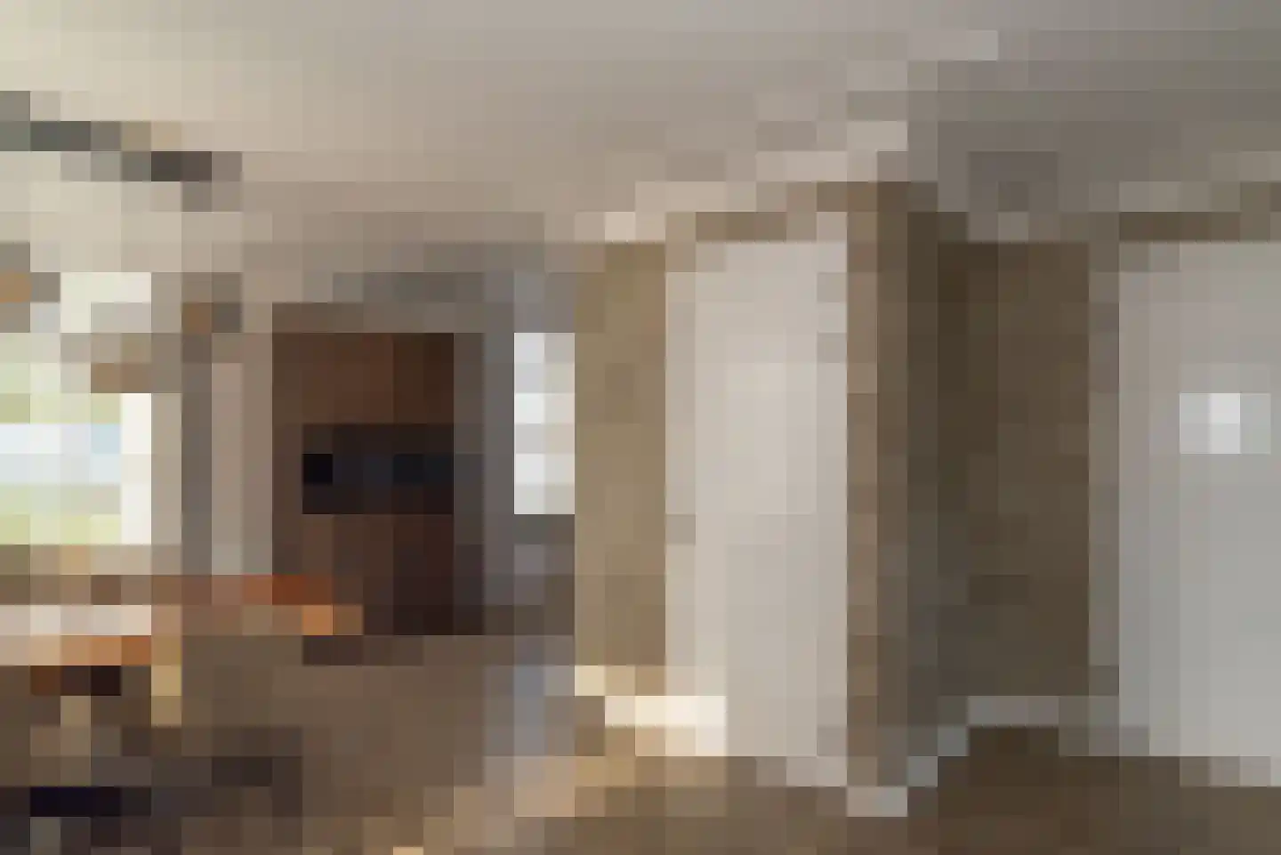 Spuitstraat 28 Rijssen thumbnail 20