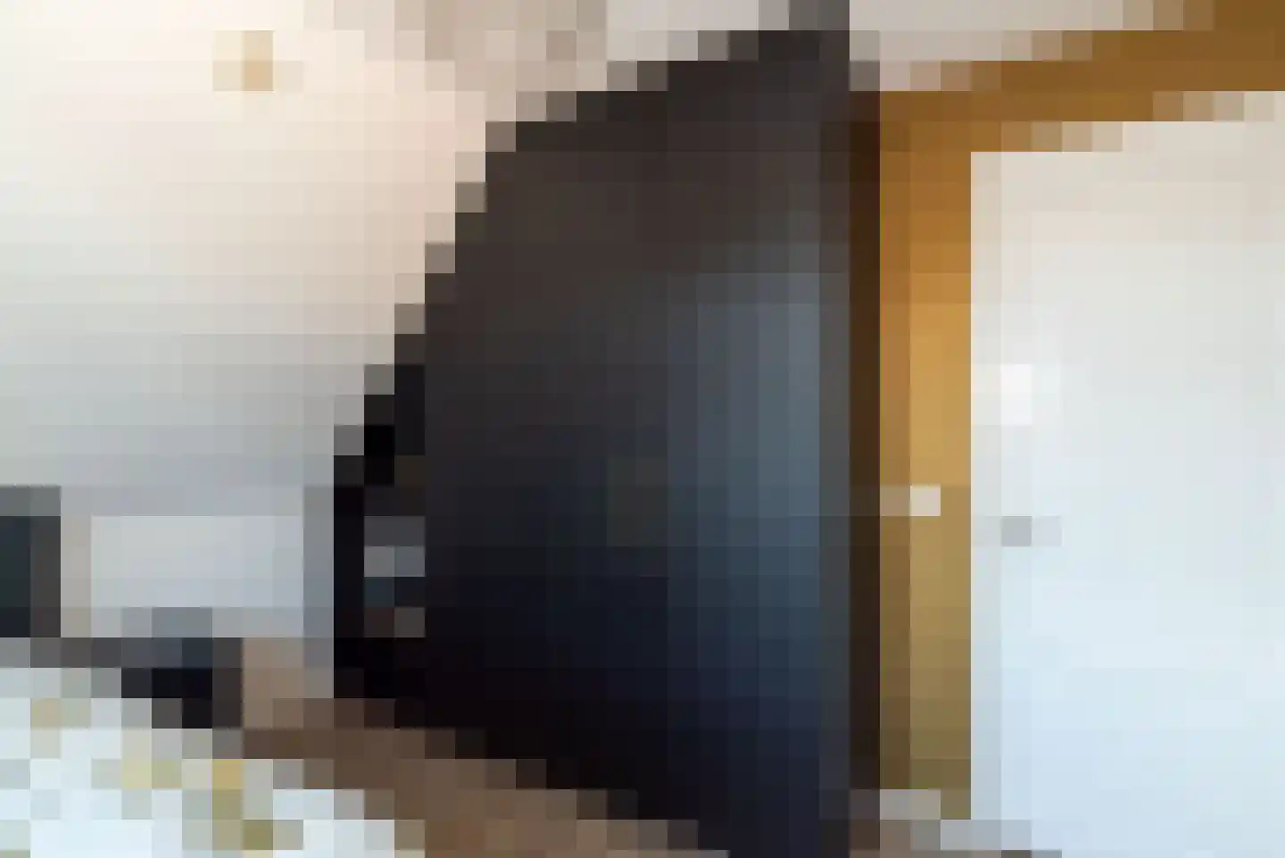 Spuitstraat 28 Rijssen thumbnail 41