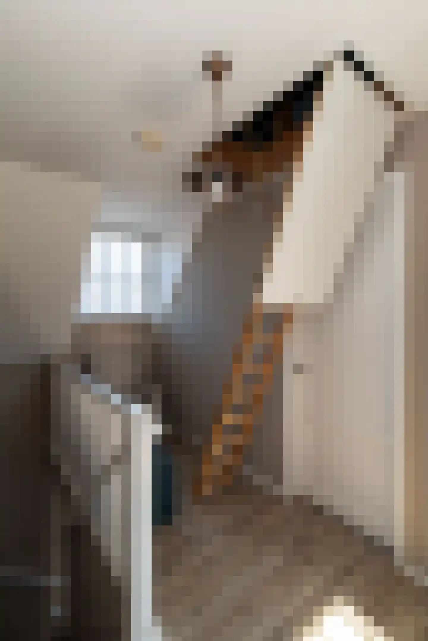 Spuitstraat 28 Rijssen thumbnail 56