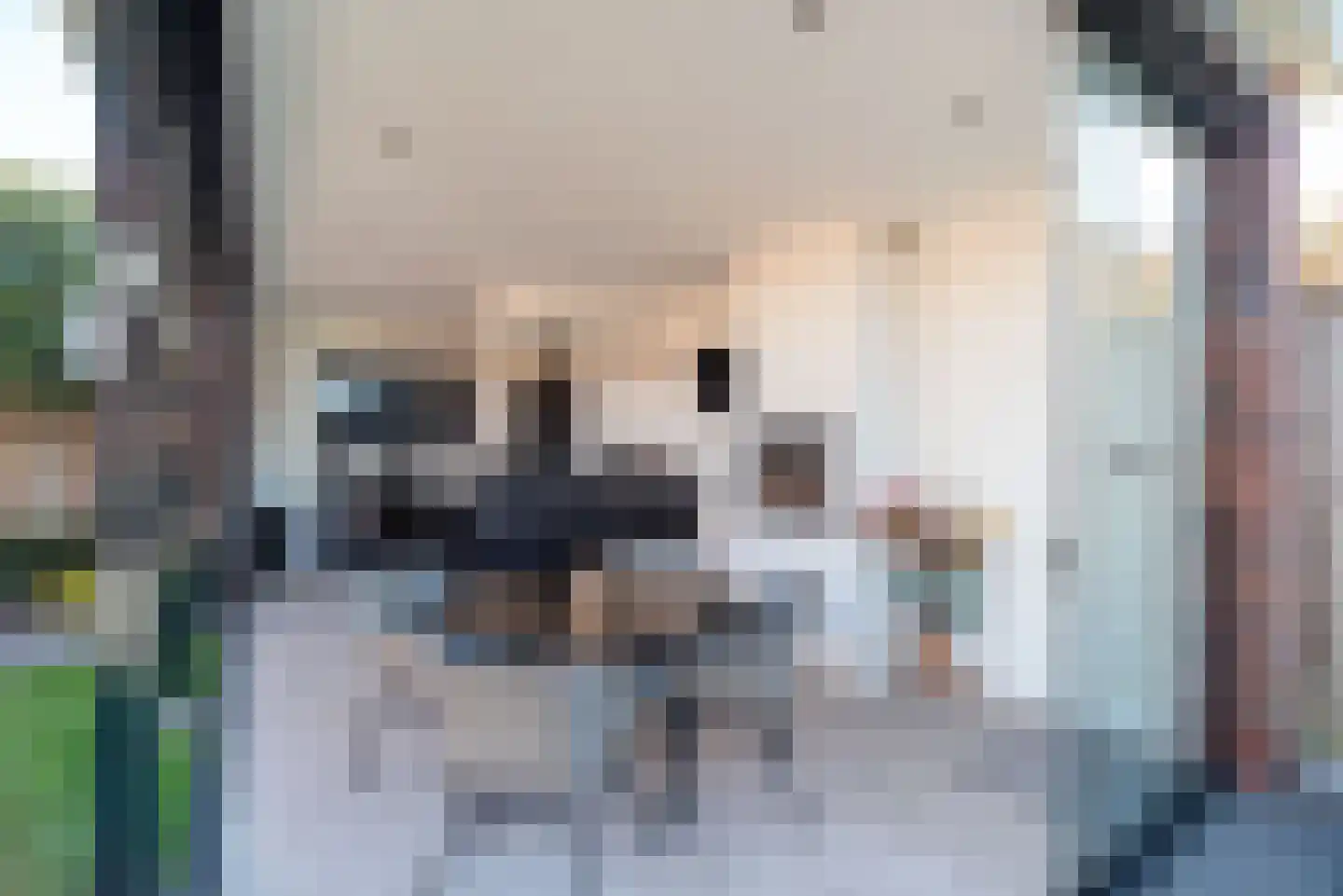 Spuitstraat 28 Rijssen thumbnail 64
