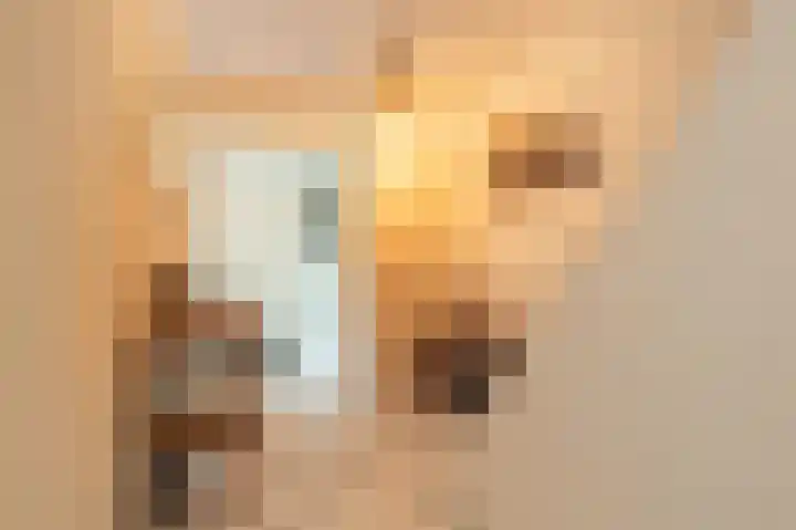Spuivelden 9 Heinenoord thumbnail 10