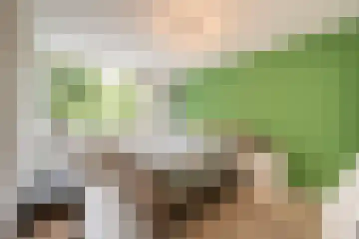 Spuivelden 9 Heinenoord thumbnail 13