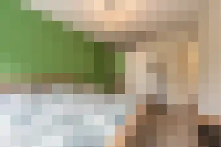 Spuivelden 9 Heinenoord thumbnail 14